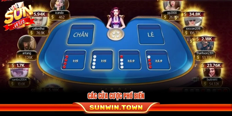 Những loại cửa cược trong xóc đĩa thủy tinh Sunwin